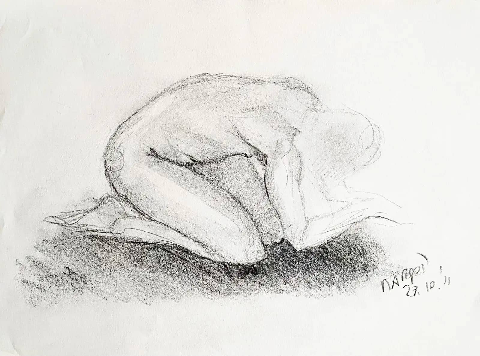 Disegno_4